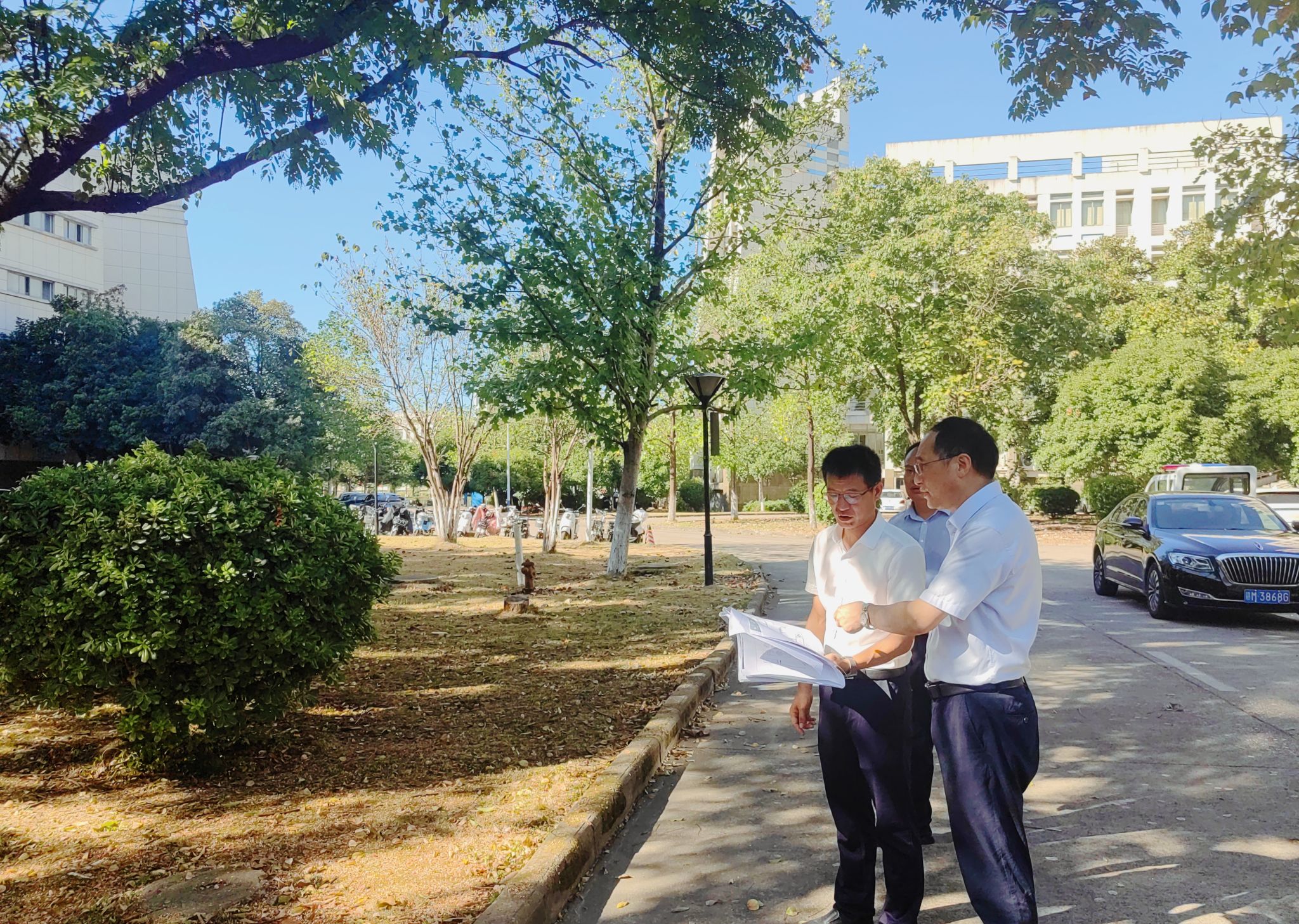 ms88明升