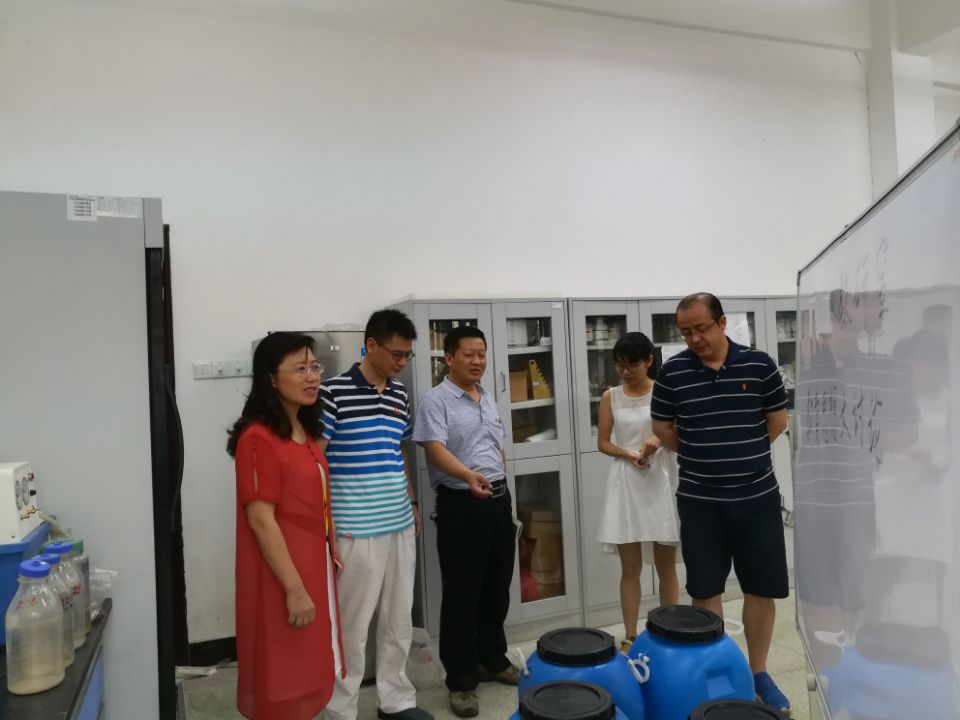ms88明升