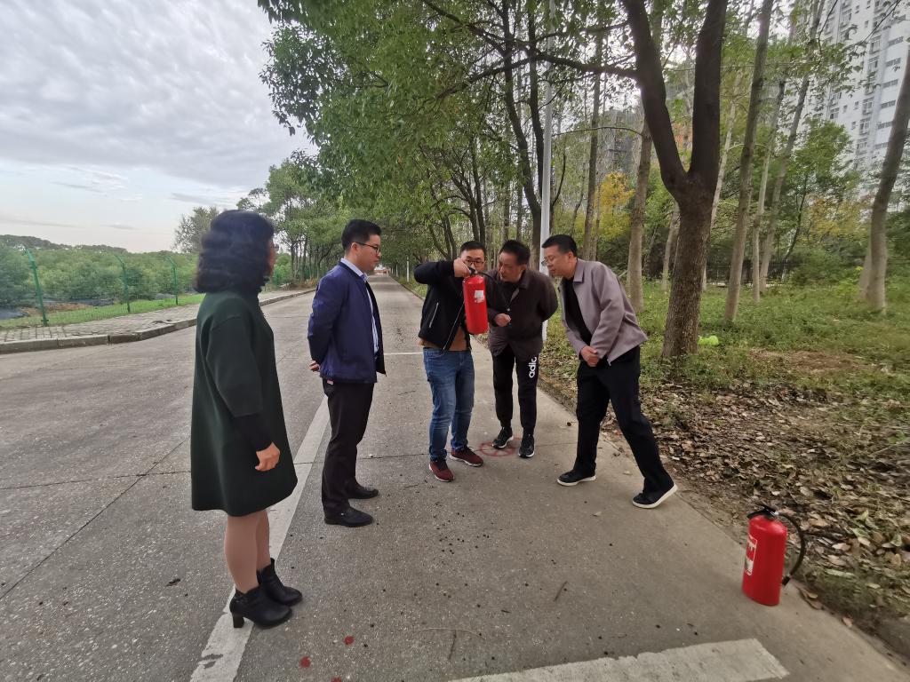 ms88明升