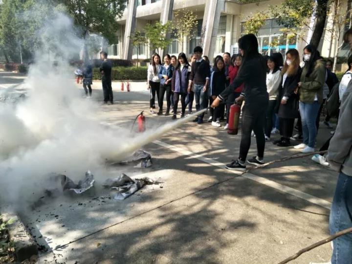 ms88明升